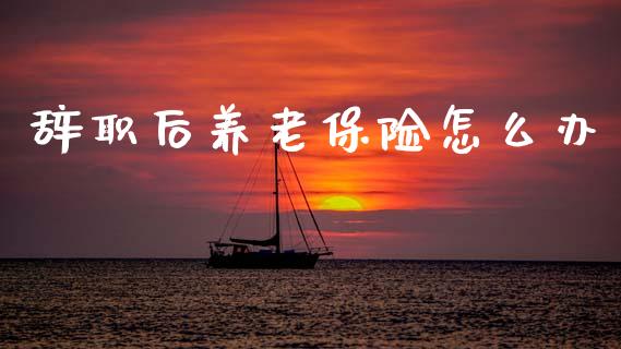 辞职后养老保险怎么办_https://cj001.lansai.wang_保险问答_第1张