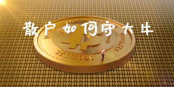 散户如何守大牛_https://cj001.lansai.wang_理财问答_第1张