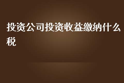 投资公司投资收益缴纳什么税_https://cj001.lansai.wang_会计问答_第1张