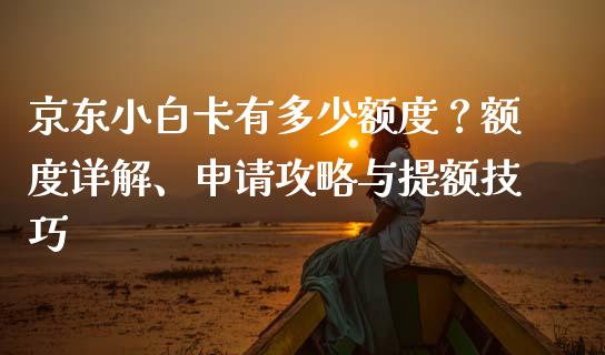 京东小白卡有多少额度？额度详解、申请攻略与提额技巧_https://cj001.lansai.wang_财经问答_第1张