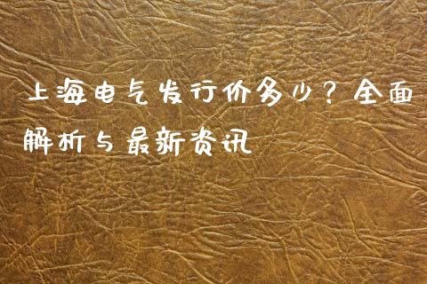 上海电气发行价多少？全面解析与最新资讯_https://cj001.lansai.wang_理财问答_第1张