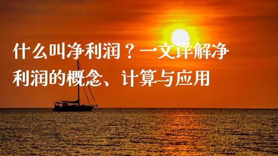 什么叫净利润？一文详解净利润的概念、计算与应用_https://cj001.lansai.wang_股市问答_第1张