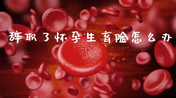 辞职了怀孕生育险怎么办_https://cj001.lansai.wang_保险问答_第1张