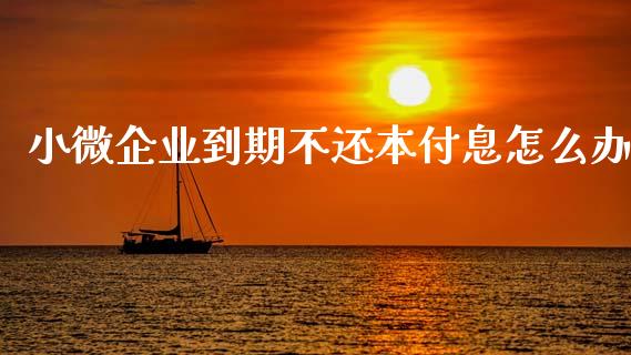 小微企业到期不还本付息怎么办_https://cj001.lansai.wang_金融问答_第1张