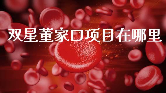 双星董家口项目在哪里_https://cj001.lansai.wang_股市问答_第1张