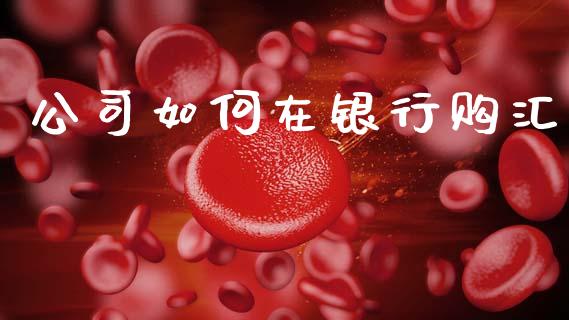 公司如何在银行购汇_https://cj001.lansai.wang_股市问答_第1张