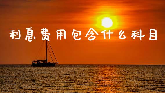 利息费用包含什么科目_https://cj001.lansai.wang_会计问答_第1张