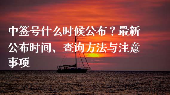 中签号什么时候公布？最新公布时间、查询方法与注意事项_https://cj001.lansai.wang_保险问答_第1张
