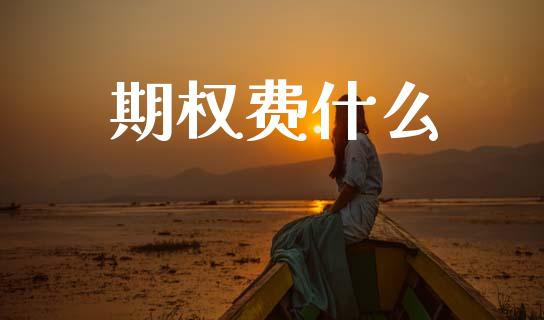期权费什么_https://cj001.lansai.wang_理财问答_第1张