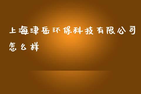 上海津岳环保科技有限公司怎么样_https://cj001.lansai.wang_期货问答_第1张