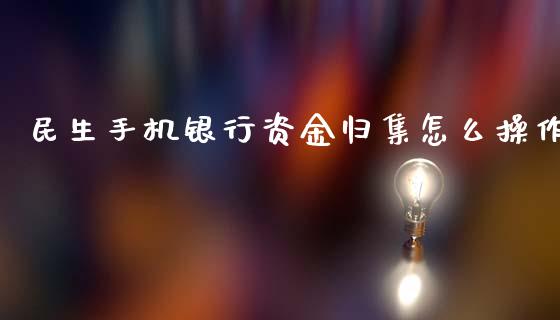 民生手机银行资金归集怎么操作_https://cj001.lansai.wang_保险问答_第1张