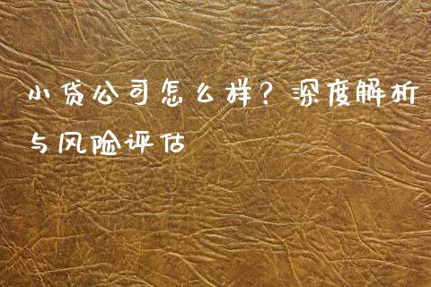 小贷公司怎么样？深度解析与风险评估_https://cj001.lansai.wang_会计问答_第1张