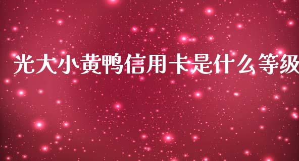 光大小黄鸭信用卡是什么等级_https://cj001.lansai.wang_金融问答_第1张