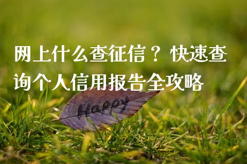 网上什么查征信？ 快速查询个人信用报告全攻略_https://cj001.lansai.wang_财经问答_第1张
