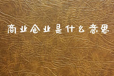 商业企业是什么意思_https://cj001.lansai.wang_会计问答_第1张