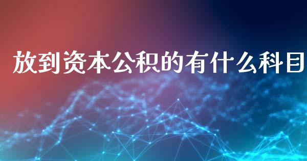 放到资本公积的有什么科目_https://cj001.lansai.wang_会计问答_第1张