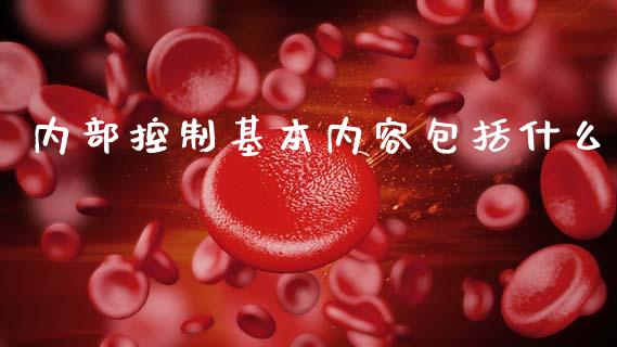 内部控制基本内容包括什么_https://cj001.lansai.wang_会计问答_第1张