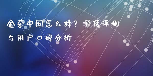 金荣中国怎么样？深度评测与用户口碑分析_https://cj001.lansai.wang_会计问答_第1张