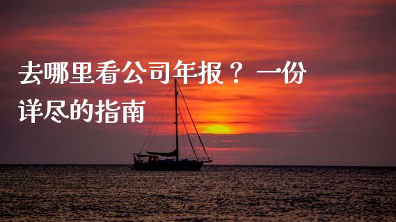 去哪里看公司年报？ 一份详尽的指南_https://cj001.lansai.wang_金融问答_第1张