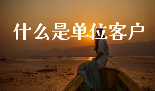 什么是单位客户_https://cj001.lansai.wang_金融问答_第1张