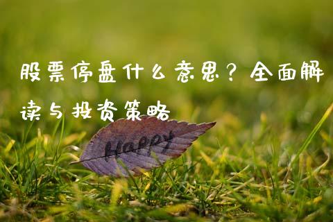 股票停盘什么意思？全面解读与投资策略_https://cj001.lansai.wang_会计问答_第1张