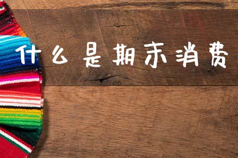 什么是期末消费_保险问答_第1张_财经百问网 什么是期末消费_https://cj001.lansai.wang_保险问答_第1张