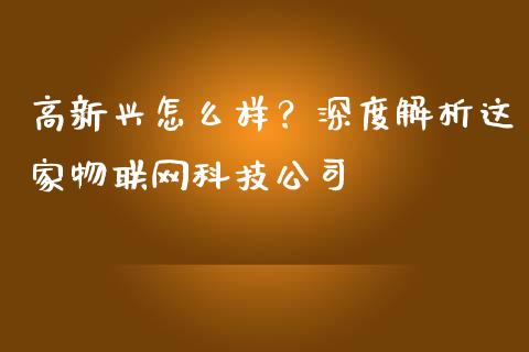 高新兴怎么样？深度解析这家物联网科技公司_https://cj001.lansai.wang_金融问答_第1张