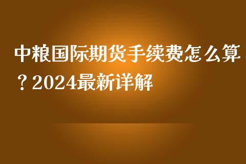 中粮国际期货手续费怎么算？2024最新详解_https://cj001.lansai.wang_会计问答_第1张