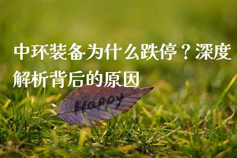 中环装备为什么跌停？深度解析背后的原因_https://cj001.lansai.wang_保险问答_第1张