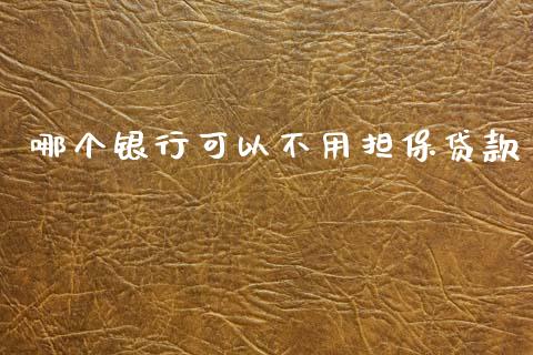 哪个银行可以不用担保贷款_https://cj001.lansai.wang_理财问答_第1张