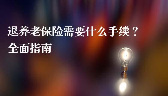 退养老保险需要什么手续？全面指南_https://cj001.lansai.wang_会计问答_第1张
