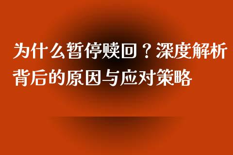 为什么暂停赎回？深度解析背后的原因与应对策略_https://cj001.lansai.wang_财经问答_第1张