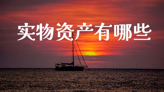 实物资产有哪些_https://cj001.lansai.wang_理财问答_第1张