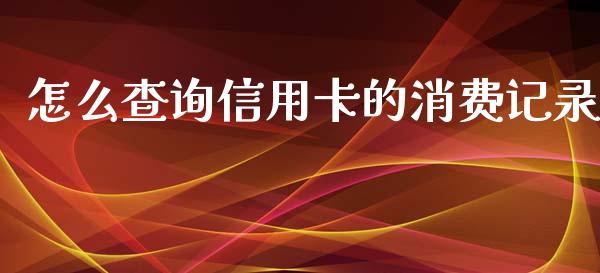 怎么查询信用卡的消费记录_https://cj001.lansai.wang_金融问答_第1张