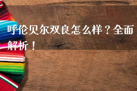 呼伦贝尔双良怎么样？全面解析！_https://cj001.lansai.wang_保险问答_第1张