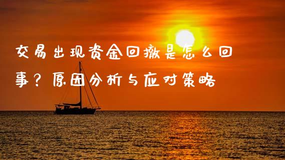 交易出现资金回撤是怎么回事？原因分析与应对策略_https://cj001.lansai.wang_金融问答_第1张