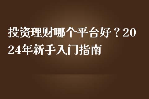 投资理财哪个平台好？2024年新手入门指南_https://cj001.lansai.wang_金融问答_第1张