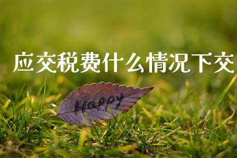 应交税费什么情况下交_https://cj001.lansai.wang_会计问答_第1张