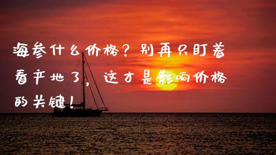 海参什么价格？别再只盯着看产地了，这才是影响价格的关键！_https://cj001.lansai.wang_会计问答_第1张