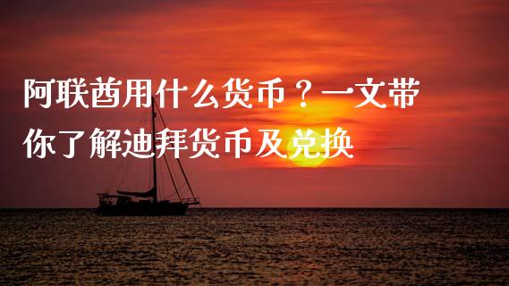 阿联酋用什么货币？一文带你了解迪拜货币及兑换_https://cj001.lansai.wang_期货问答_第1张