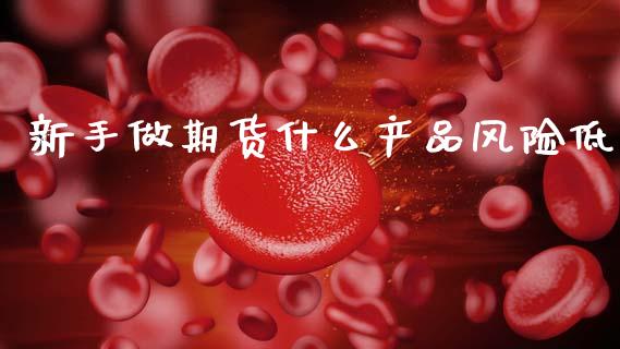 新手做期货什么产品风险低_https://cj001.lansai.wang_财经百问_第1张