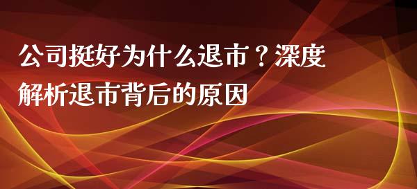 公司挺好为什么退市？深度解析退市背后的原因_https://cj001.lansai.wang_会计问答_第1张