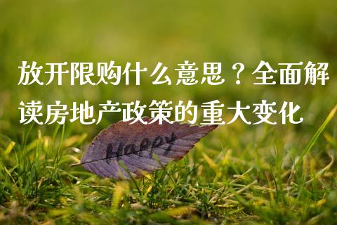 放开限购什么意思？全面解读房地产政策的重大变化_https://cj001.lansai.wang_金融问答_第1张