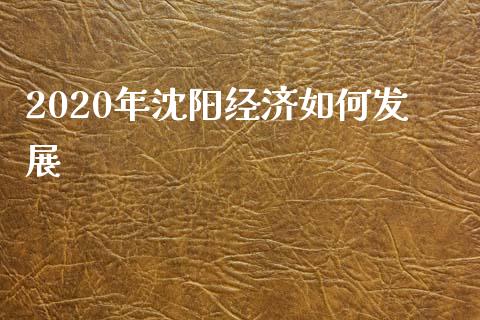 2020年沈阳经济如何发展_https://cj001.lansai.wang_股市问答_第1张