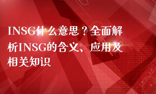 INSG什么意思？全面解析INSG的含义、应用及相关知识_https://cj001.lansai.wang_财经问答_第1张