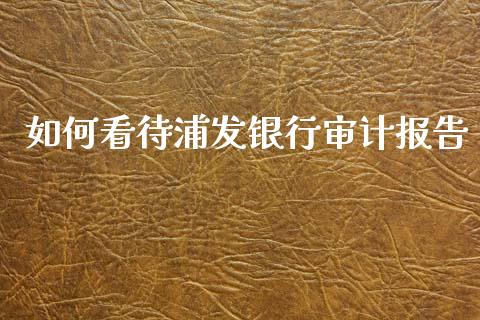 如何看待浦发银行审计报告_https://cj001.lansai.wang_股市问答_第1张