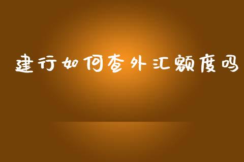 建行如何查外汇额度吗_https://cj001.lansai.wang_财经问答_第1张