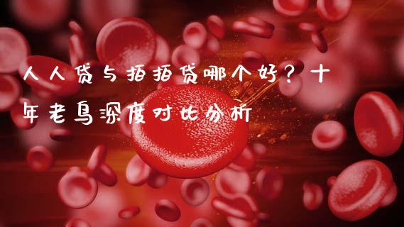 人人贷与拍拍贷哪个好？十年老鸟深度对比分析_https://cj001.lansai.wang_会计问答_第1张