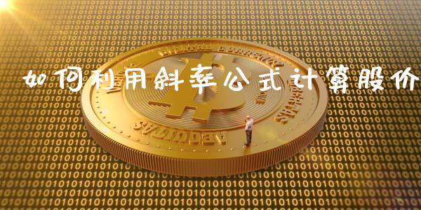 如何利用斜率公式计算股价_https://cj001.lansai.wang_理财问答_第1张