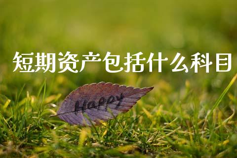短期资产包括什么科目_https://cj001.lansai.wang_会计问答_第1张